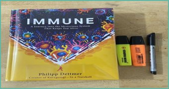 A Journey Into Harmony And Hollywood